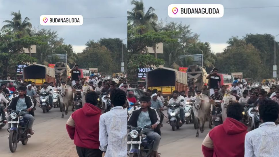 ಎತ್ತುಗಳ ಮೆರವಣಿಗೆಗೆ ಟ್ರಾಫಿಕ್ ರೂಲ್ಸ್ ಬ್ರೇಕ್? ಸವಾರರ ಪರದಾಟ